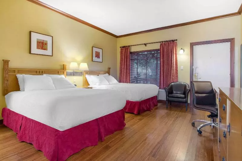 身障者適用キングサイズベッドルーム, La Quinta Inn By Wyndham Savannah Midtown