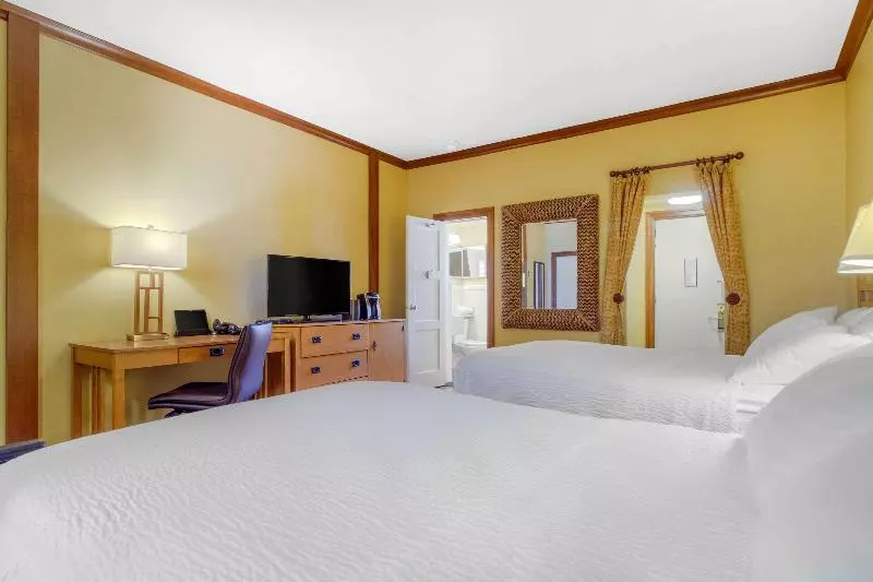 身障者適用キングサイズベッドルーム, La Quinta Inn By Wyndham Savannah Midtown