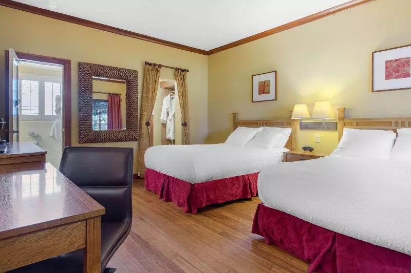 身障者適用キングサイズベッドルーム, La Quinta Inn By Wyndham Savannah Midtown
