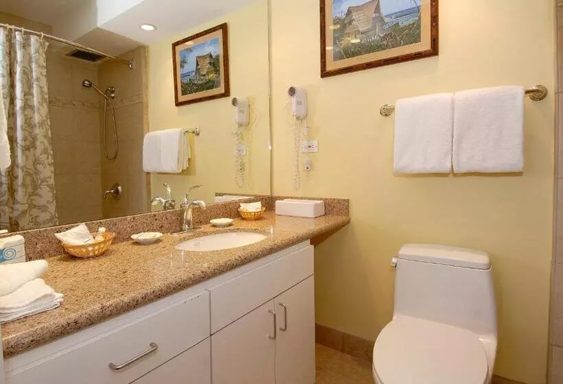 海の見える２ベッドルームアパートメント, Mana Kai Maui   Official Onsite Rental Company