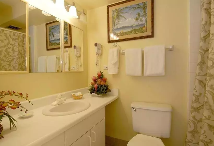 海の見える２ベッドルームアパートメント, Mana Kai Maui   Official Onsite Rental Company