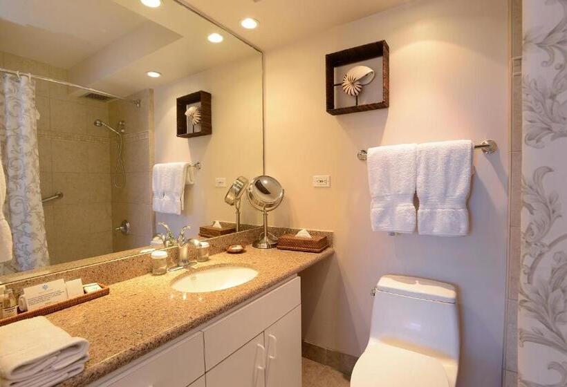 2 Bedroom Premium Apartment Sea View, Mana Kai Maui   Official Onsite Rental Company