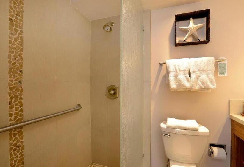 프리미엄 아파트 1 베드룸 바다 뷰, Mana Kai Maui Official Onsite Rental Company