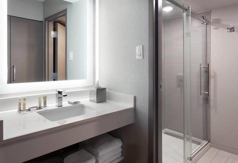 带大床的标准间, Marriott Jacksonville