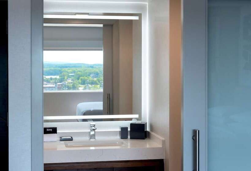 클럽 룸, Marriott Springfield Downtown