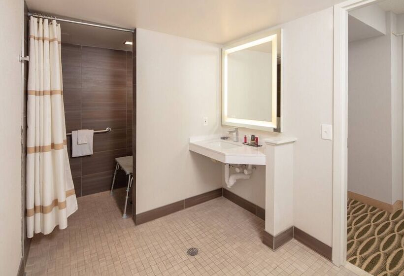 غرفه قياسيه سريرين مزدوجين, Minneapolis Marriott Southwest