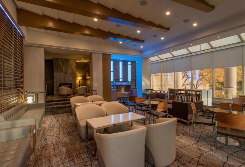 스탠다드 룸 킹사이즈 침대, Minneapolis Marriott Southwest