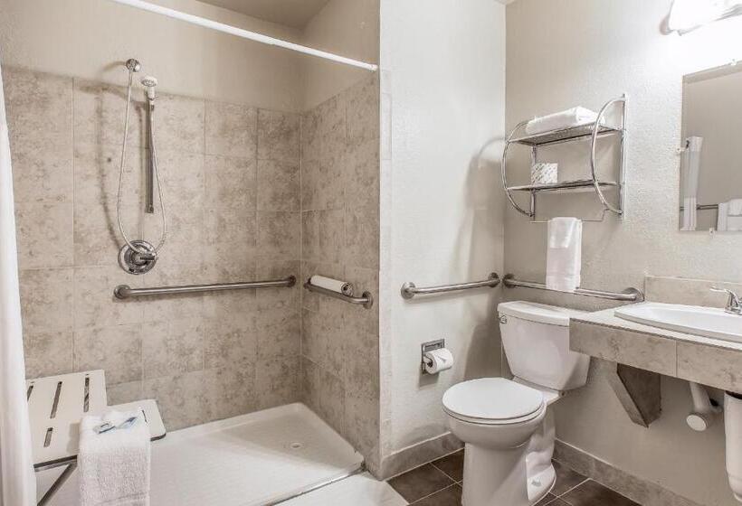 Номер Стандарт, Rodeway Inn