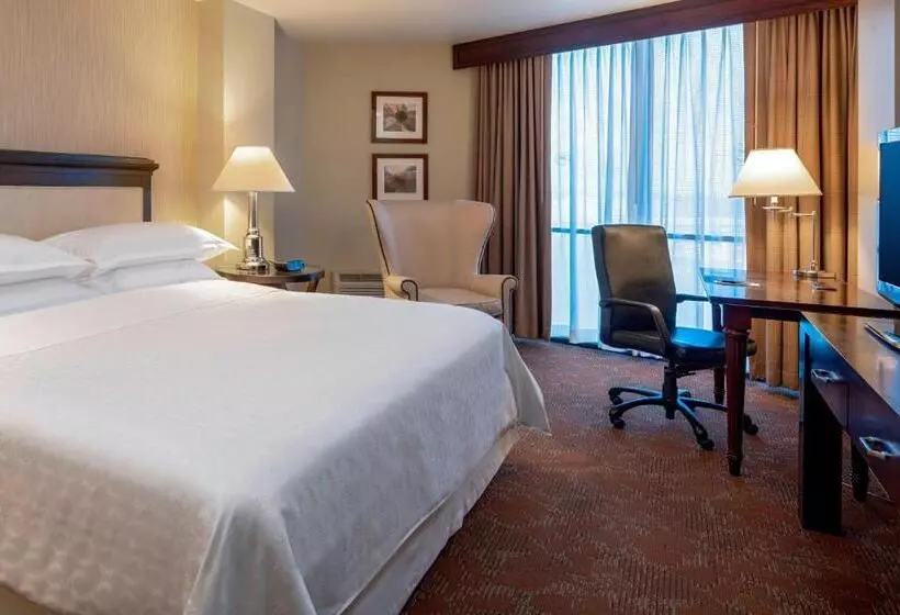 キングサイズベッドのクラシックルーム, Sheraton Houston Brookhollow