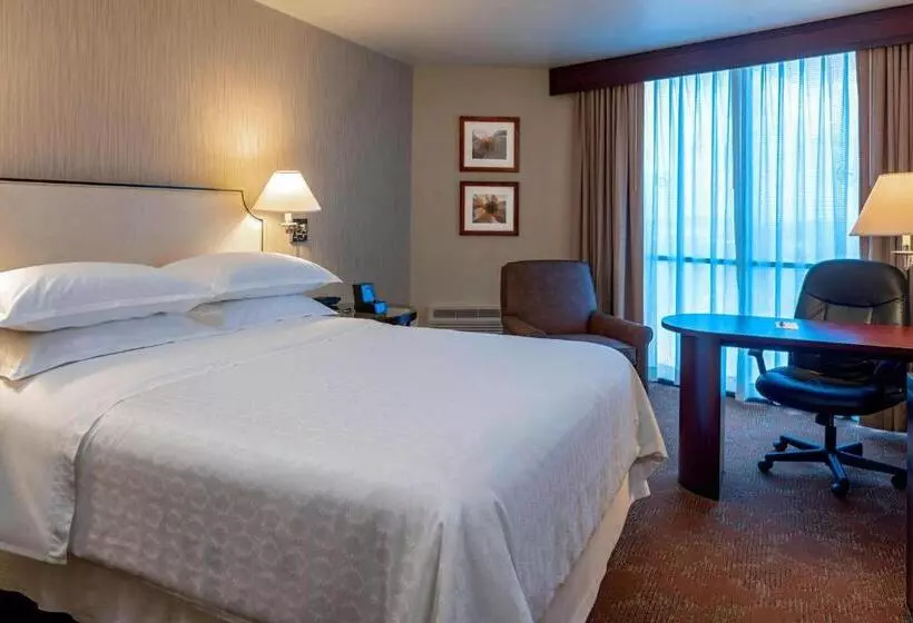 クラシックルーム, Sheraton Houston Brookhollow