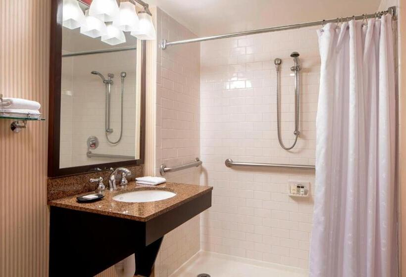 带大床的小型套房, Sheraton Houston Brookhollow