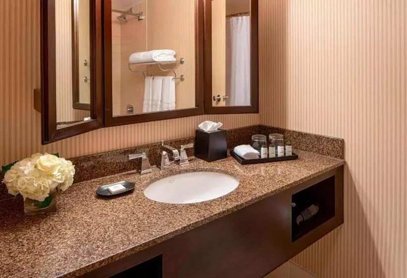 キングサイズベッドのジュニアスイート, Sheraton Houston Brookhollow