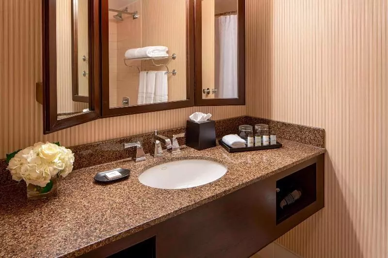 キングサイズベッドのジュニアスイート, Sheraton Houston Brookhollow