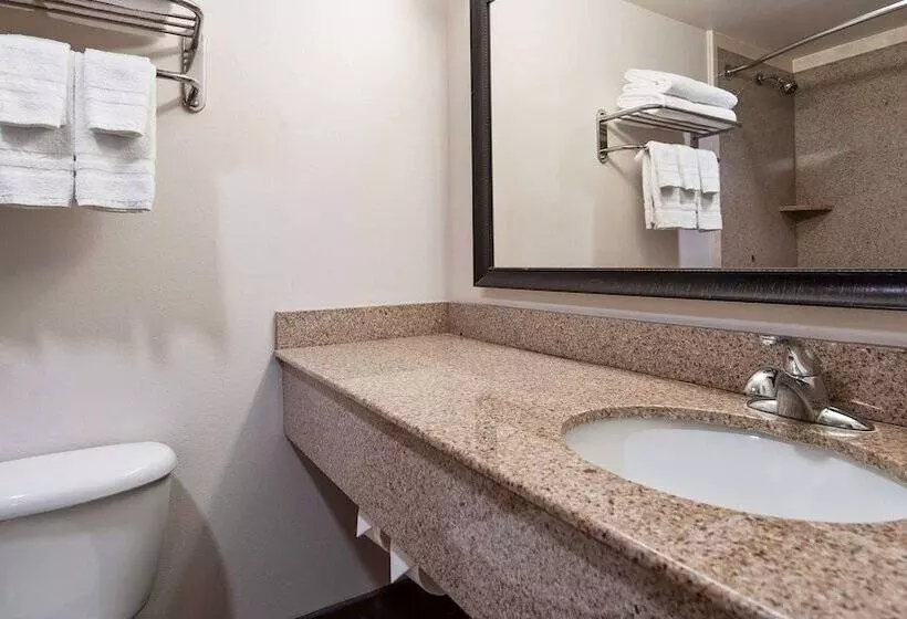 اتاق استاندارد با 2 تخت دوبل, Surestay Plus Hotel By Best Western Lubbock Medical Center