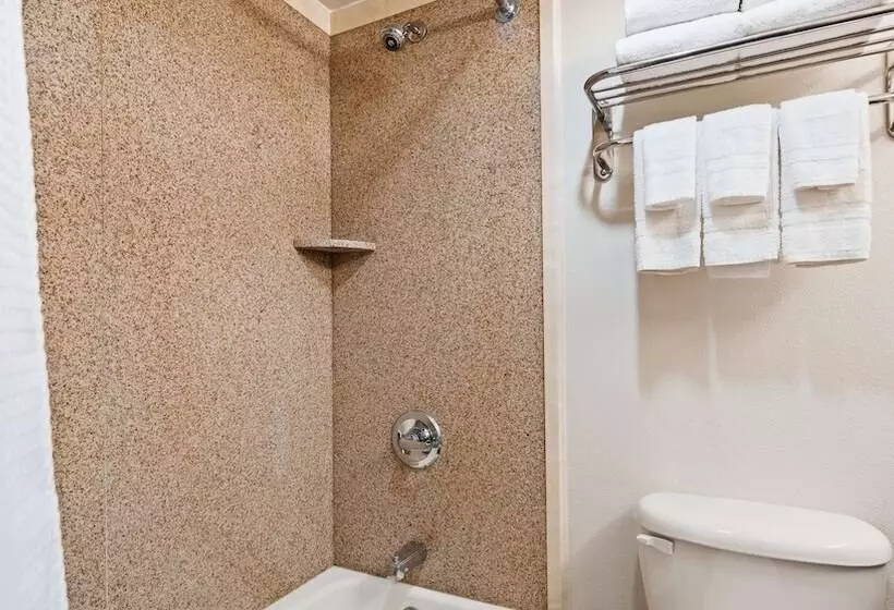اتاق استاندارد با 2 تخت دوبل, Surestay Plus Hotel By Best Western Lubbock Medical Center