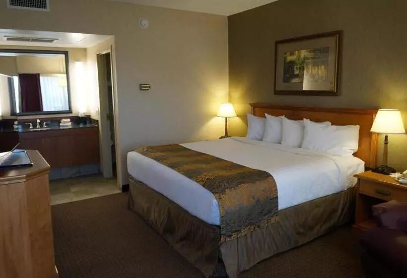 اتاق استاندارد با تخت بزرگ, The Biltmore Hotel & Suites Main Avenue