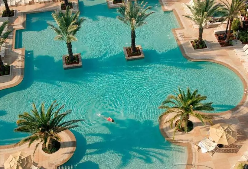 シングルデラックスルーム, Jw Marriott Marco Island Beach Resort