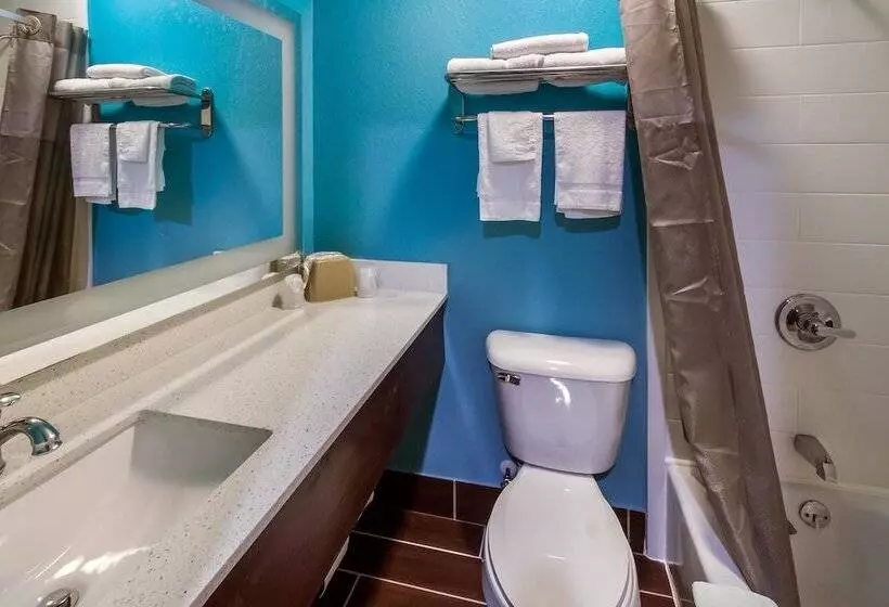 Deluxe-huone, Motel 6rossford, Oh