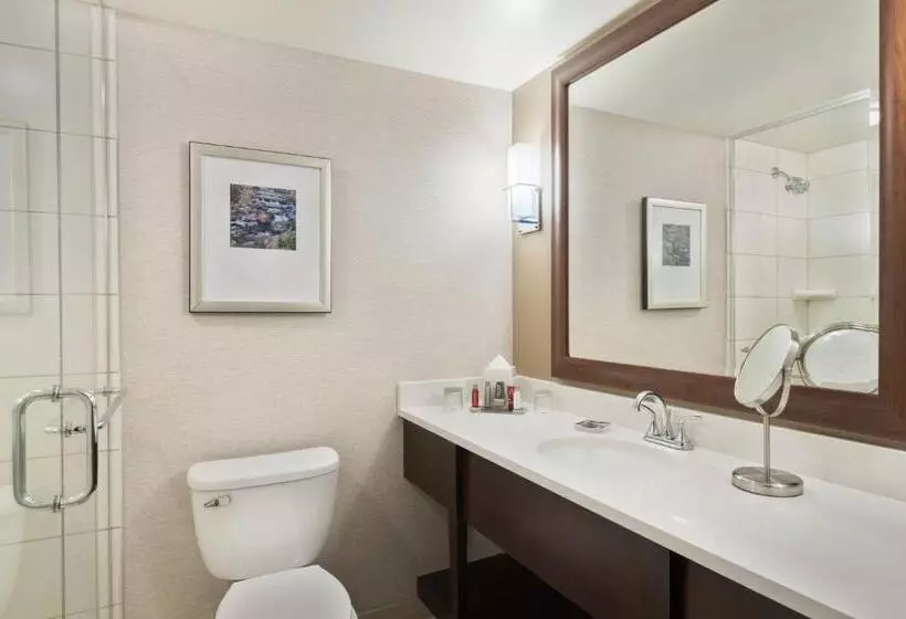 キングサイズベッドのエクゼクティブルーム, Columbus Airport Marriott