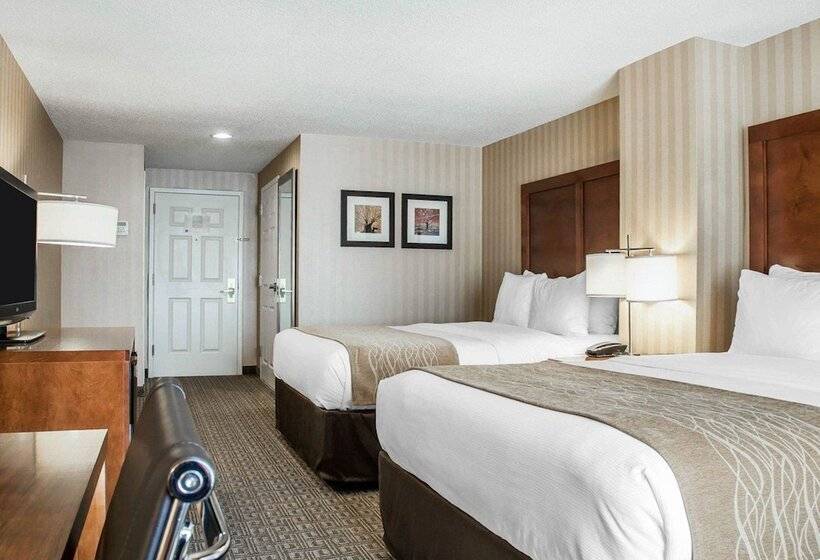 غرفه قياسيه سريرين مزدوجين, Comfort Inn & Suites Sturbridgebrimfield