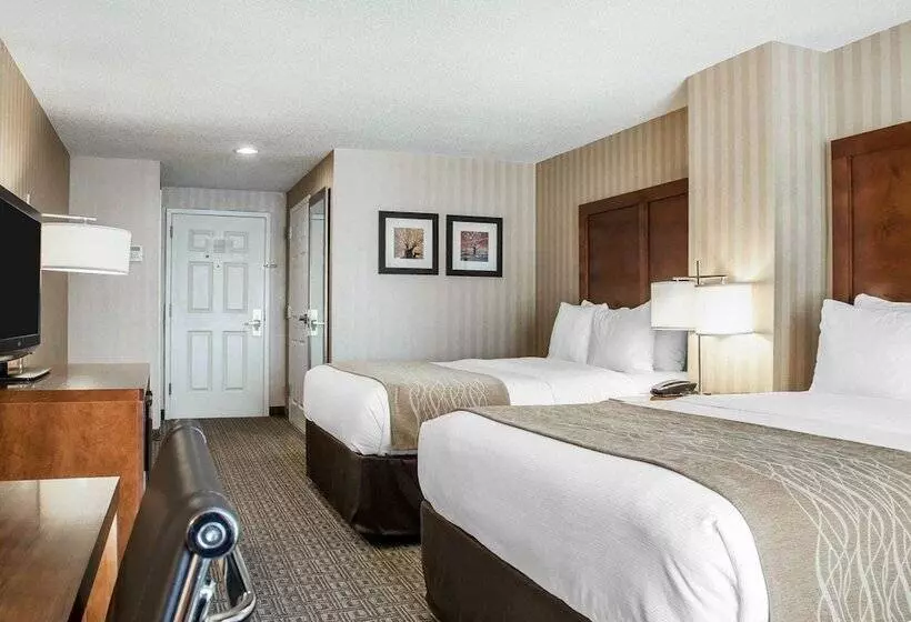 2ダブルベッドのスタンダードルーム, Comfort Inn & Suites Sturbridgebrimfield