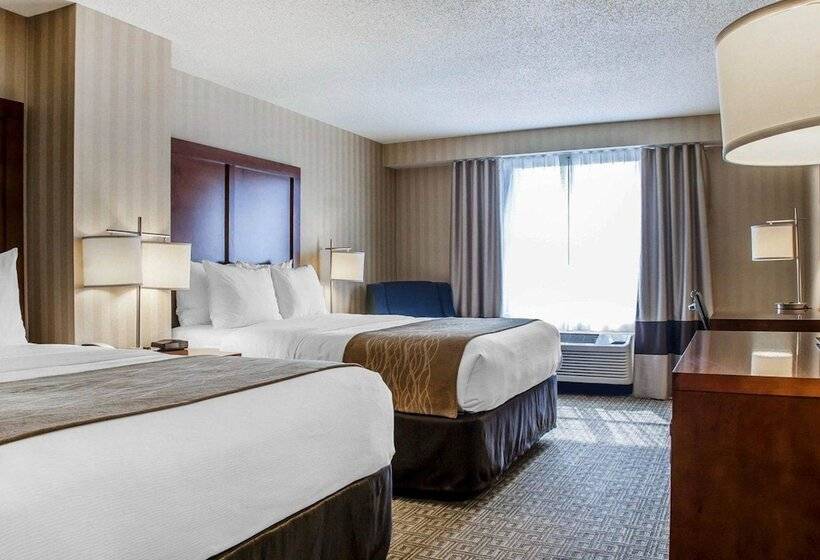 غرفه قياسيه سريرين مزدوجين, Comfort Inn & Suites Sturbridgebrimfield