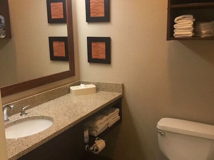 غرفه قياسيه سريرين مزدوجين, Comfort Inn & Suites Sturbridgebrimfield