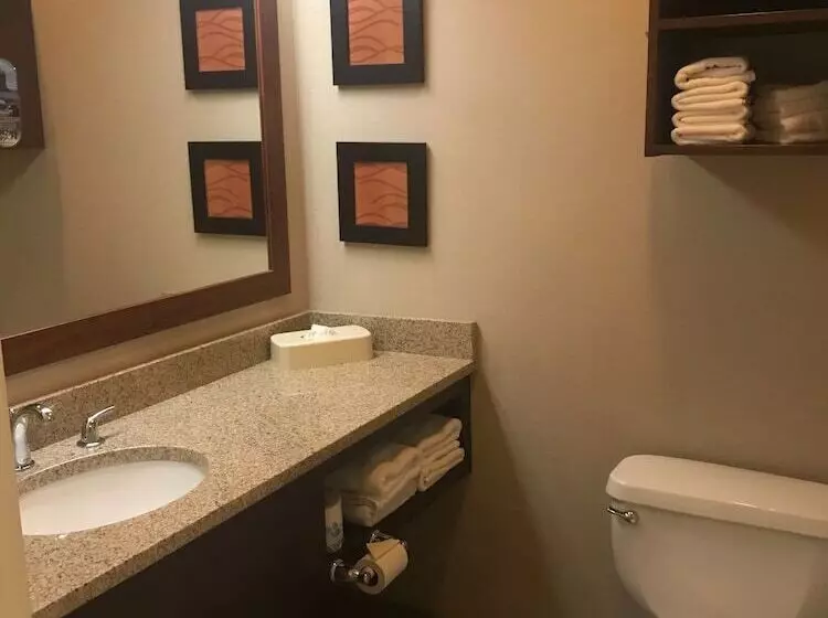 2ダブルベッドのスタンダードルーム, Comfort Inn & Suites Sturbridgebrimfield