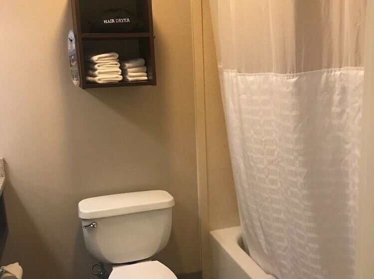 غرفه قياسيه سريرين مزدوجين, Comfort Inn & Suites Sturbridgebrimfield