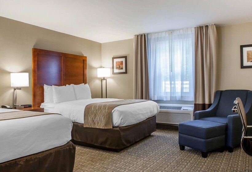 غرفه قياسيه سريرين مزدوجين, Comfort Inn & Suites Sturbridgebrimfield