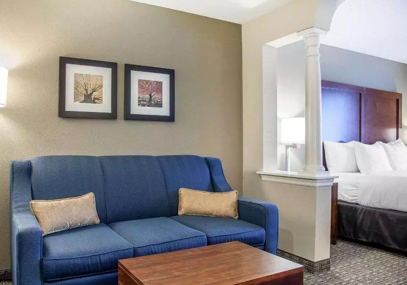 キングサイズベッドのスイートルーム, Comfort Inn & Suites Sturbridgebrimfield