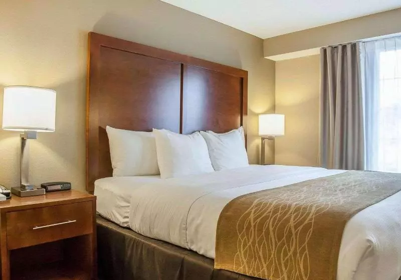 キングサイズベッドのスイートルーム, Comfort Inn & Suites Sturbridgebrimfield