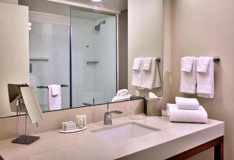 带大床的标准间, Courtyard By Marriott Ogden