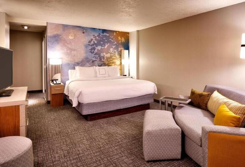 带双人床的标准工作室, Courtyard By Marriott Ogden