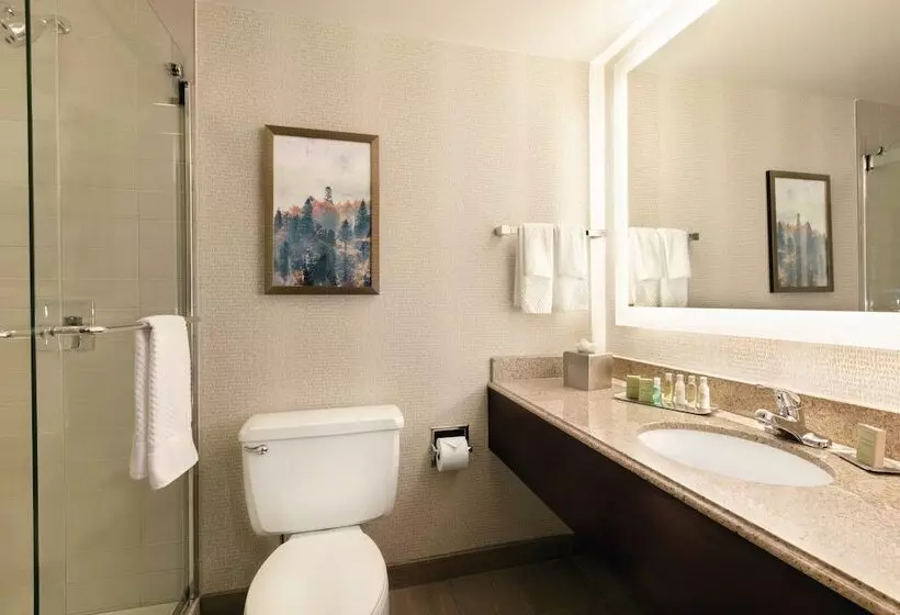 ２ダブルベッドのスタンダードルーム, Doubletree By Hilton Atlanta   Northlake