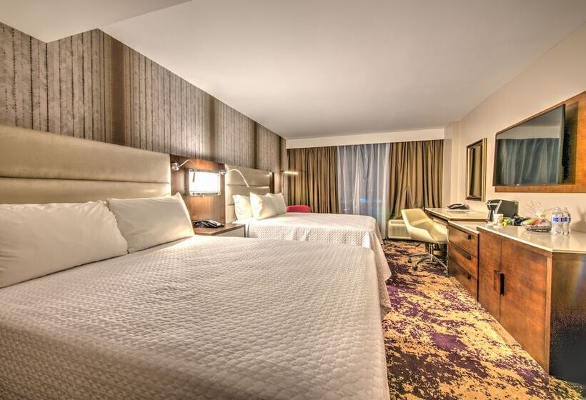 带2个双人床的标准工作室, Doubletree By Hilton Houston Brookhollow