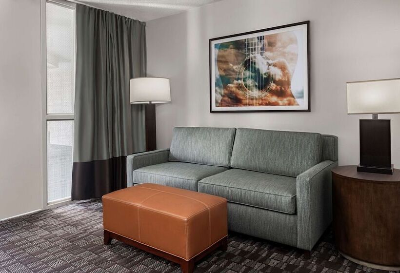 2 Szobás Suite, Embassy Suites By Hilton Nashville Airport