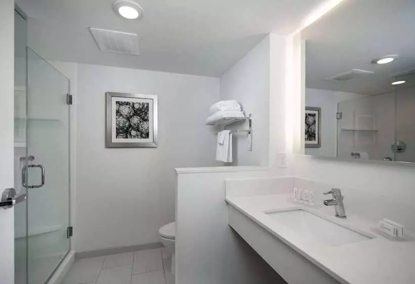 ダブルベッドスタンダードルーム, Fairfield Inn & Suites Fort Worth Downtown/convention Center