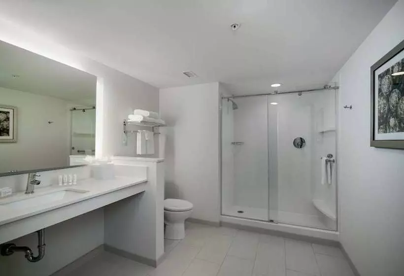ダブルベッドのスタンダードスタジオ, Fairfield Inn & Suites Fort Worth Downtown/convention Center