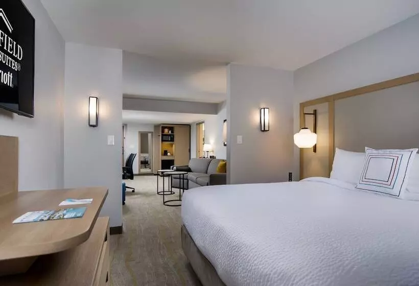 ダブルベッドのスタンダードスタジオ, Fairfield Inn & Suites Fort Worth Downtown/convention Center