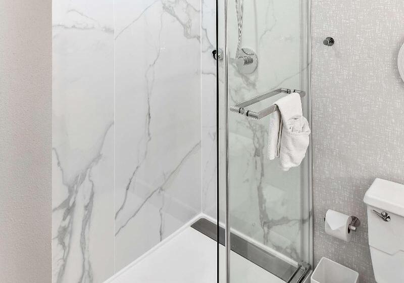 带大床的标准间, Hilton Appleton Paper Valley