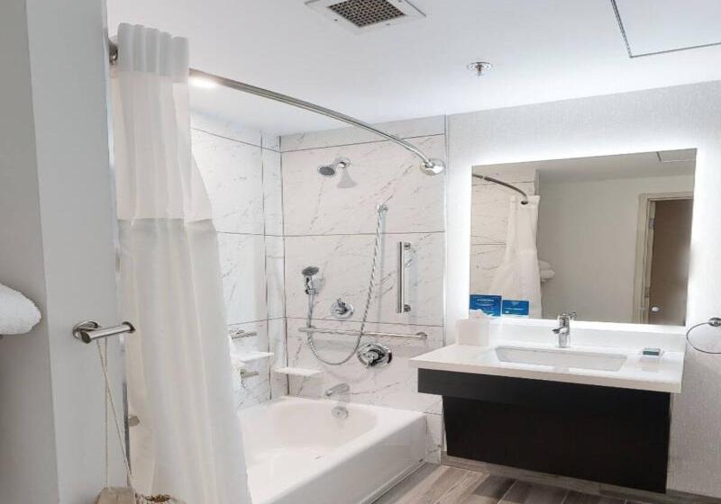 适合残疾人使用的标准间, Hilton Appleton Paper Valley