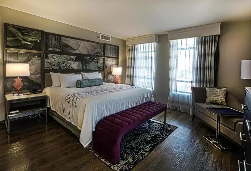 キングサイズベッドのスタンダードルーム, Indigo   Birmingham Five Points S   Uab, An Ihg
