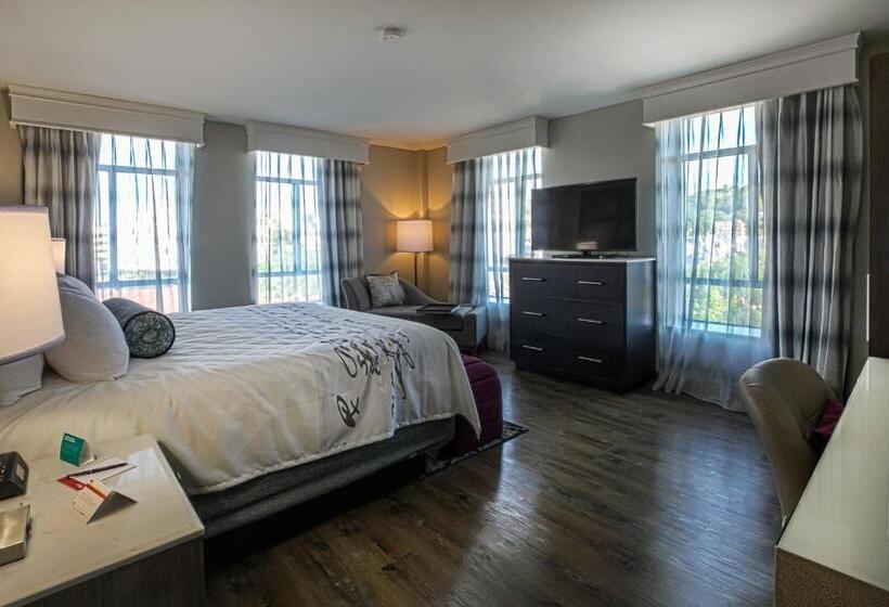 带大床的套房, Indigo   Birmingham Five Points S   Uab, An Ihg