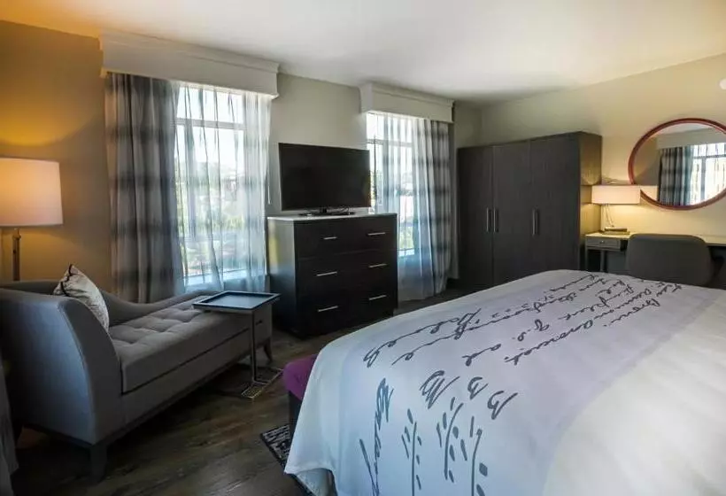 身障者適用キングサイズベッドルーム, Indigo   Birmingham Five Points S   Uab, An Ihg