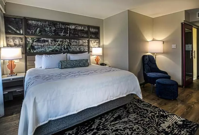 身障者適用キングサイズベッドルーム, Indigo   Birmingham Five Points S   Uab, An Ihg