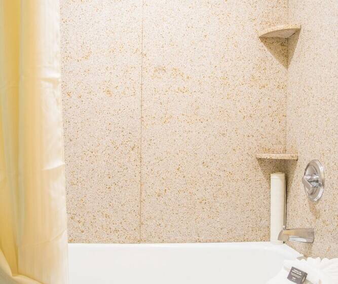 غرفه قياسيه سريرين مزدوجين, Oakland Airport Executive