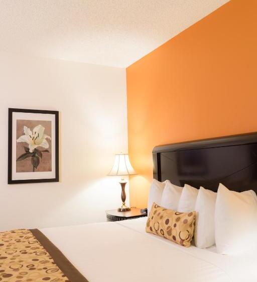 غرفة سوبيريور سرير كينج, Oakland Airport Executive