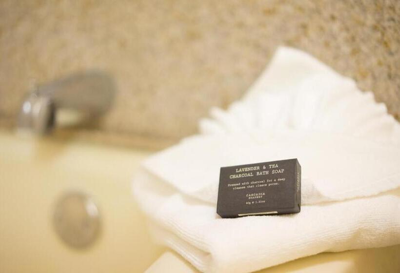 غرفة قياسية, Oakland Airport Executive