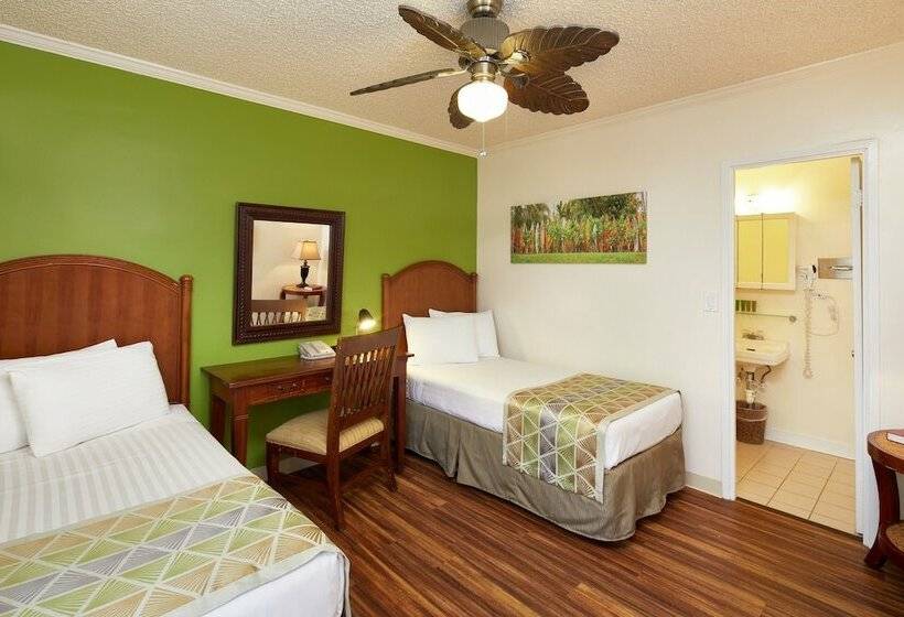 스탠다드 룸, Pacific Marina Inn